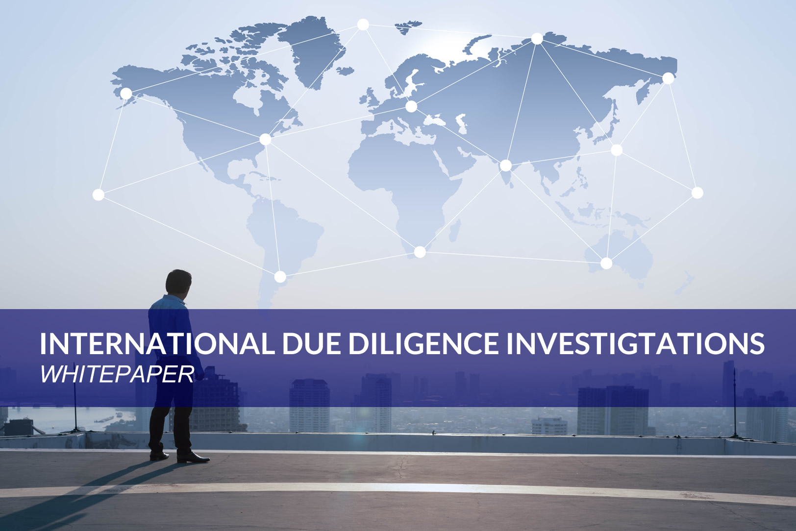 View International Due Diligence Investigations Whitepaper